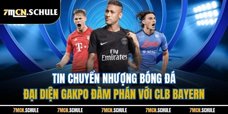 Tin chuyển nhượng bóng đá - Đại diện Gakpo đàm phán với CLB Bayern